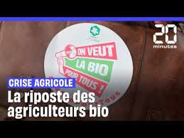 Ministère de l’Agriculture : Le Couscous Remplacé Par Du Cassoulet Dans Une Pub Bio