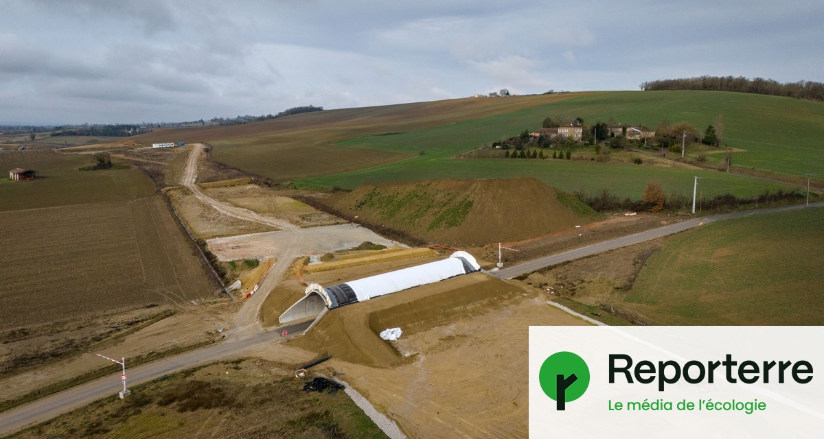 Une victoire écologique décisive : le projet de gaz de couche annulé